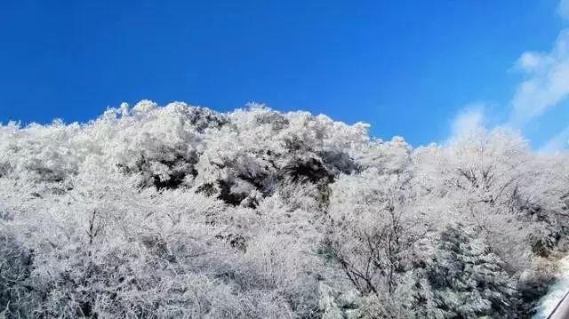探索我想找一些好玩的谜语,发现你想要的答案
