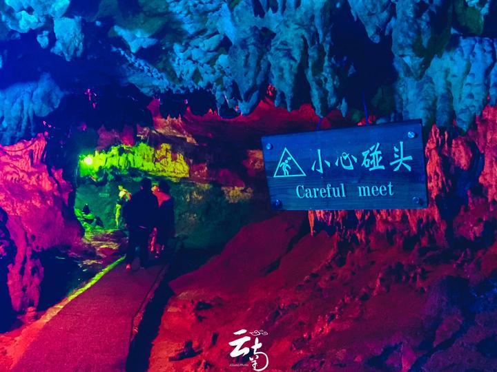 恐龙绝地逃生